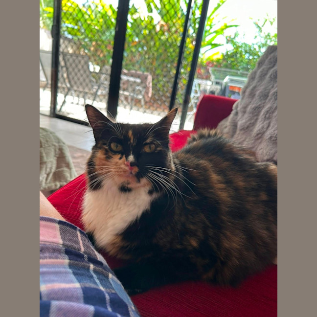 Photo of Willow And Jasper