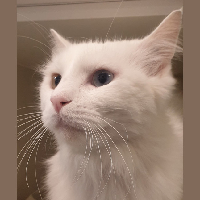Photo of Zuzu