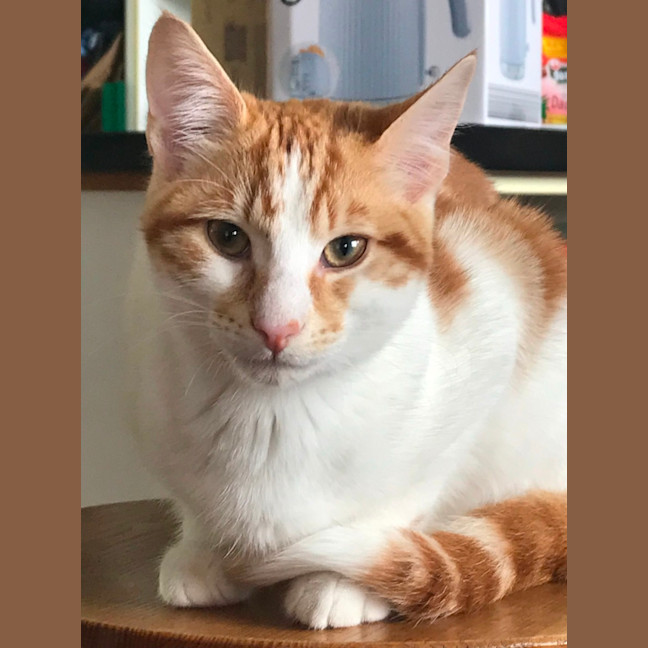 Photo of Max And Milo