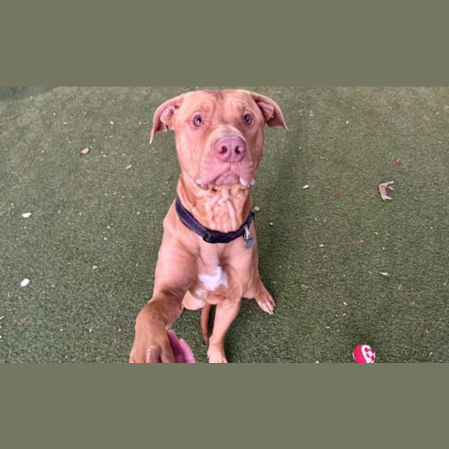 Photo of Tookie 