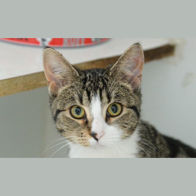 Photo of Calamity Jane