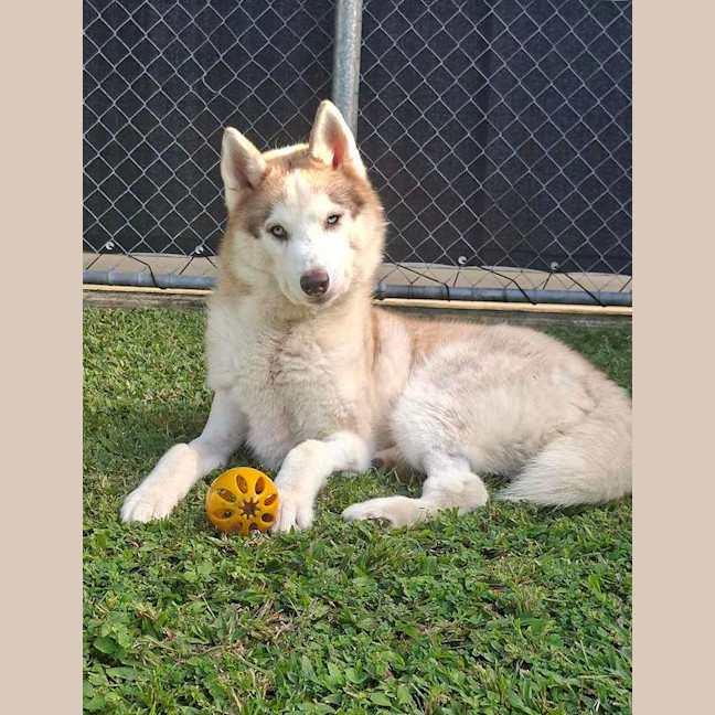 Photo of Zena