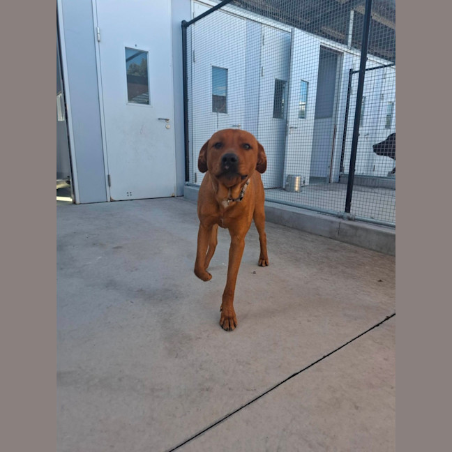 Photo of Zeus 68/2026