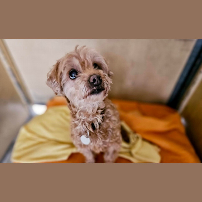 Photo of Charlie