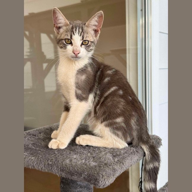 Photo of 💙 Benson 💙