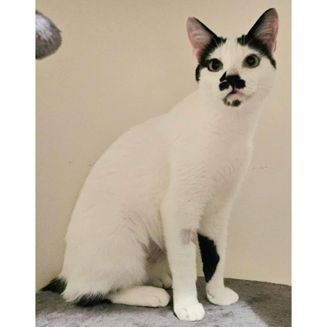 Photo of 12096   Steffy