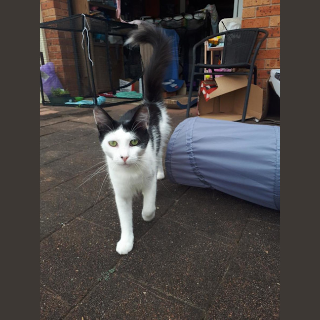 Photo of Cattie And Rosie 