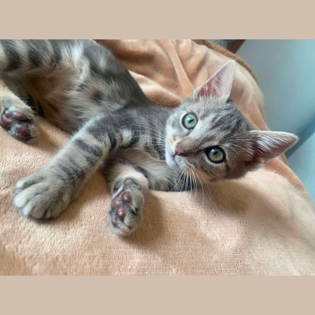 Photo of Storm
