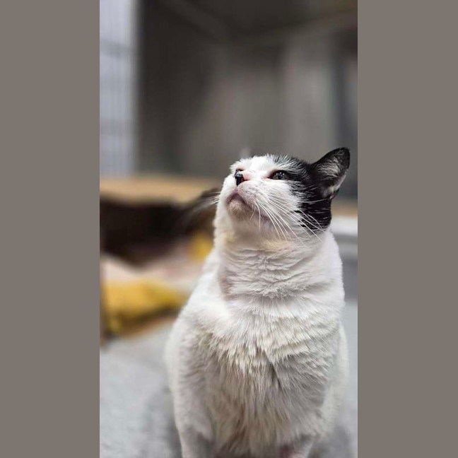 Photo of Ziggy