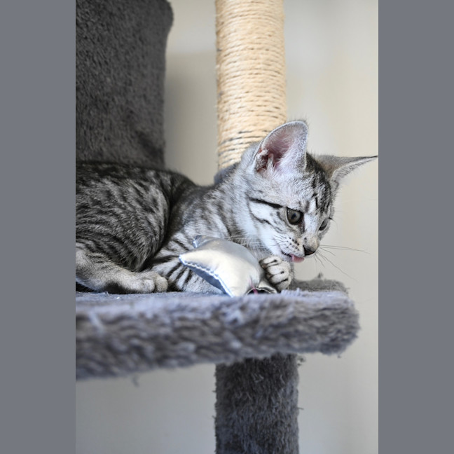 Photo of Esther