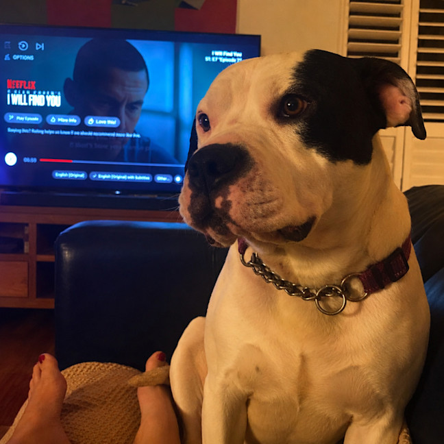 Photo of Turbo