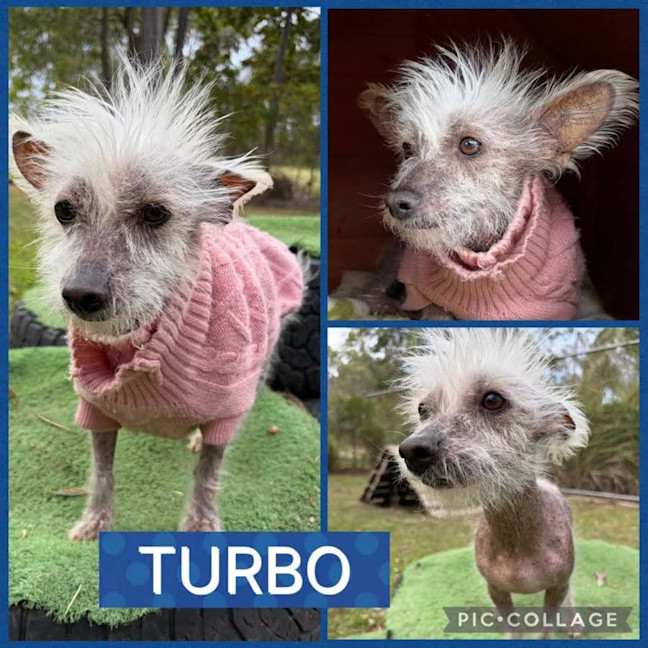 Photo of Turbo