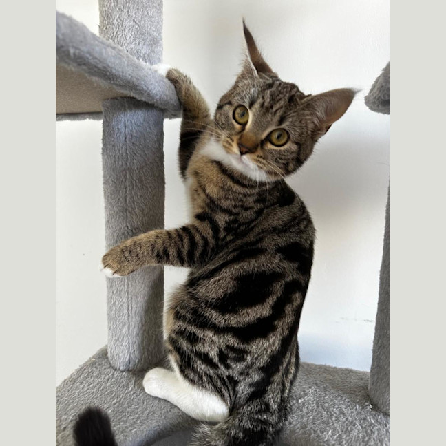 Photo of Angelette