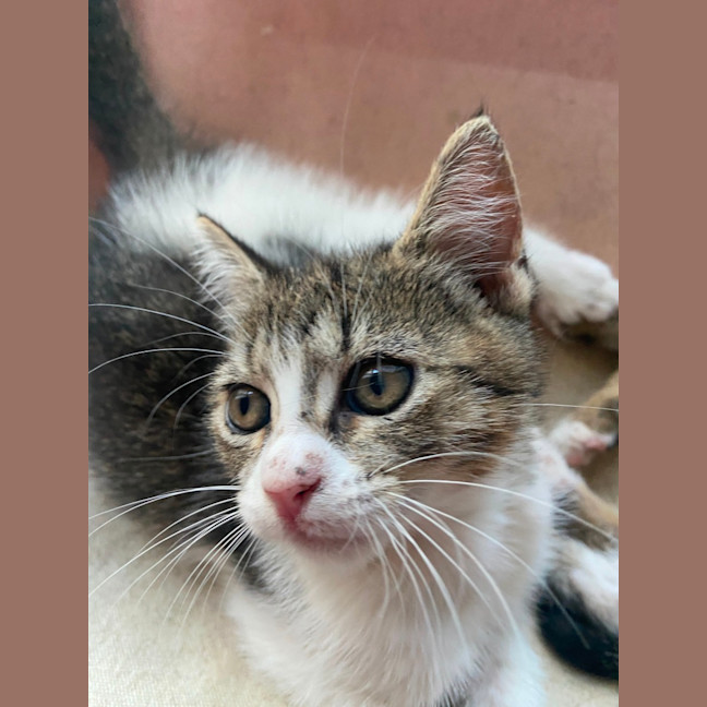 Photo of Ginny (Weasley) Of Harry Potter Fame