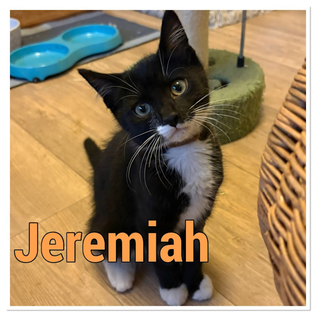 Photo of Jeremiah