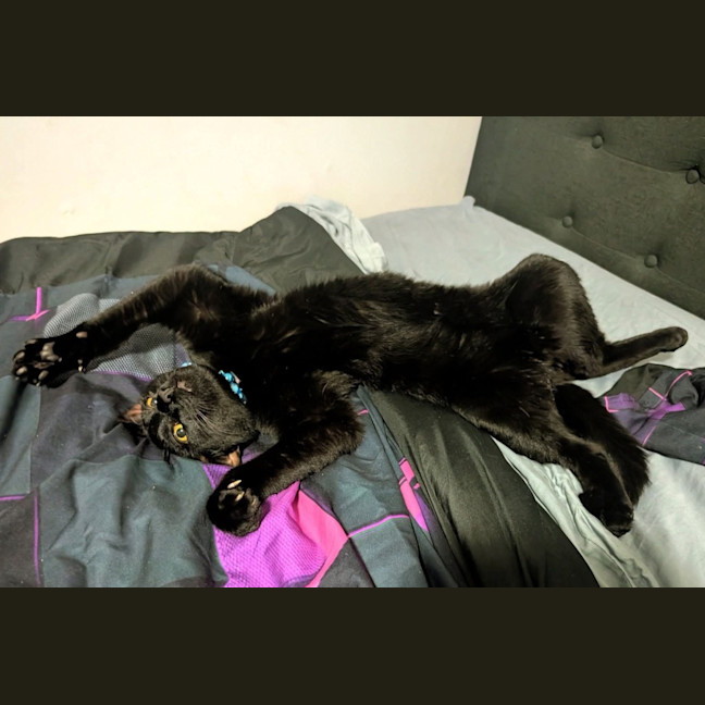 Photo of Uno