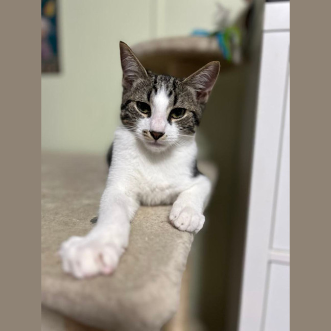 Photo of Jerry Freckle