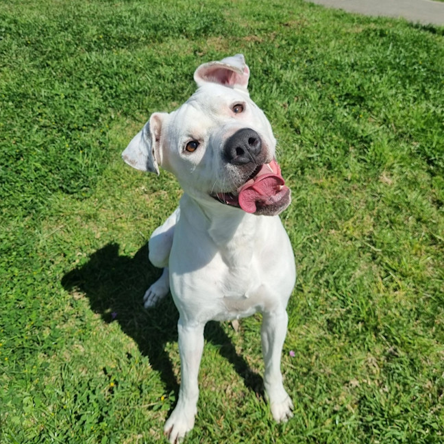 Photo of Lucy Goosey 