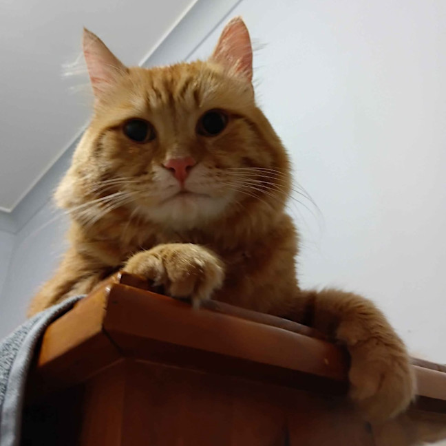 Photo of Ed