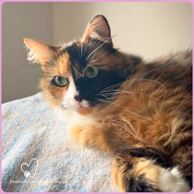 Photo of Molly
