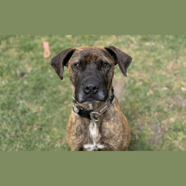 Photo of Billy