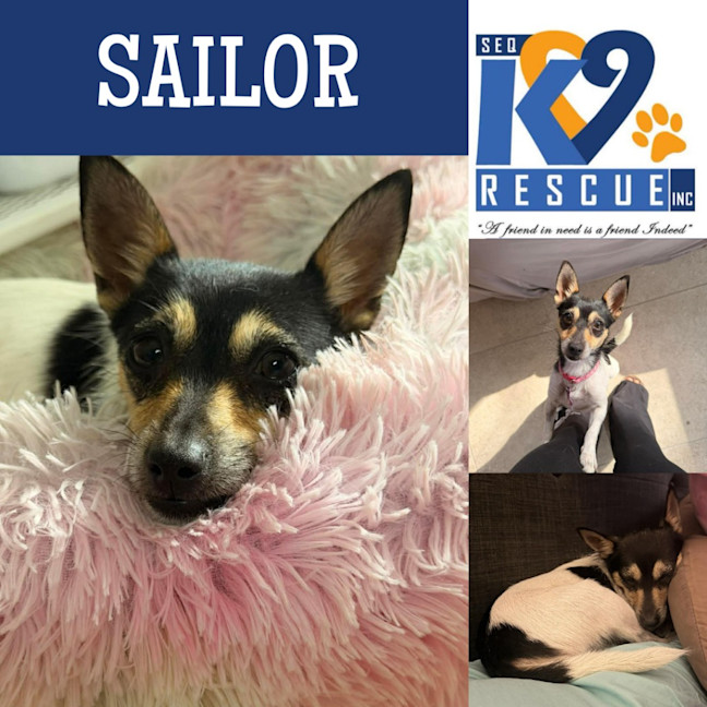 Photo of Sailor