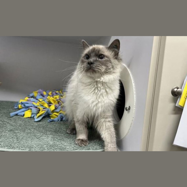 Photo of Monty