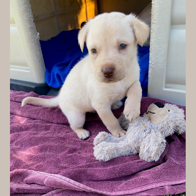 Photo of D1057 Kenny