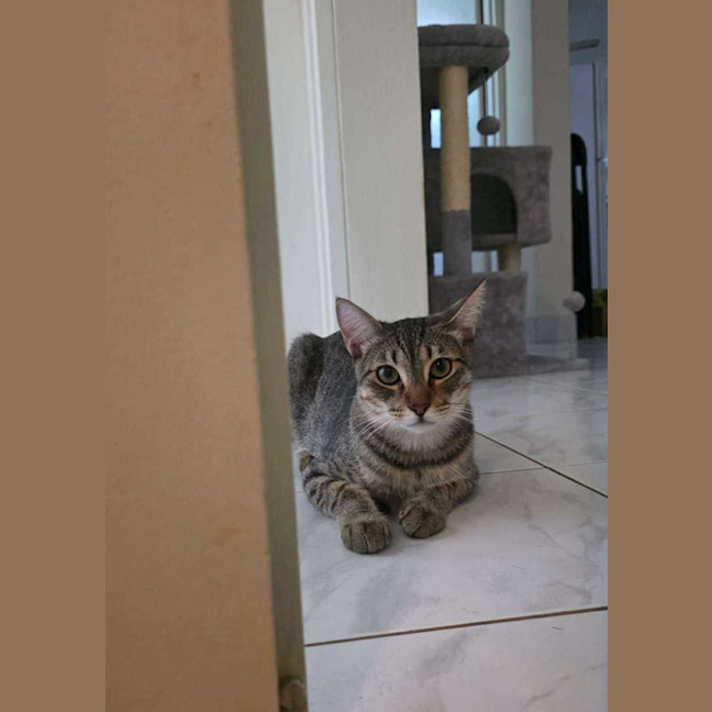 Photo of Oska