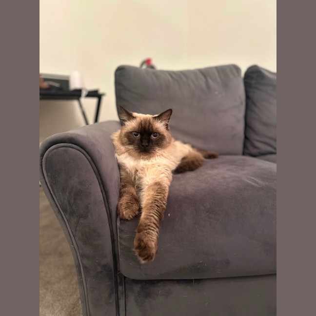 Photo of Cartman