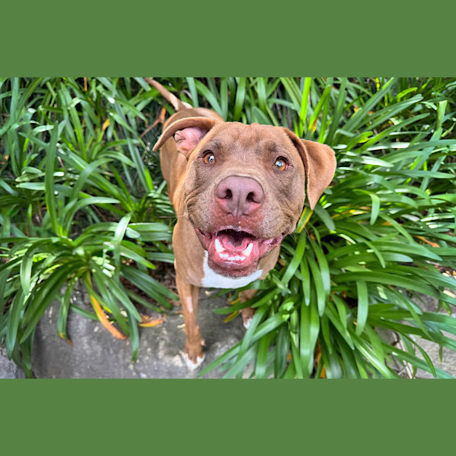 Photo of Turbo