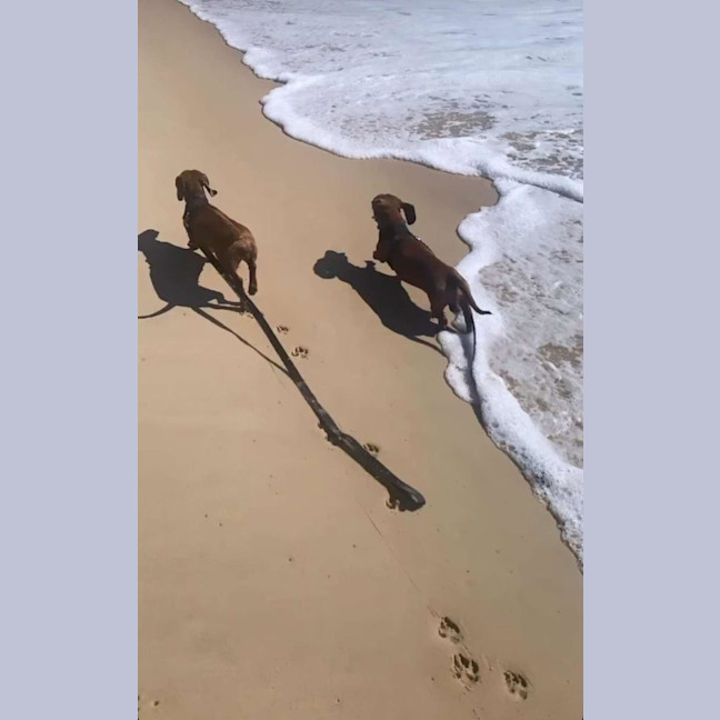 Photo of Hazel And Ernie