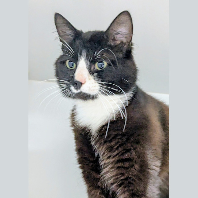 Photo of 🪖 Gus 6749 🪖