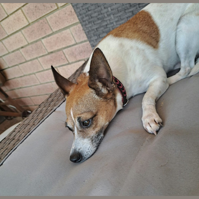 Photo of Cutie Trixie 