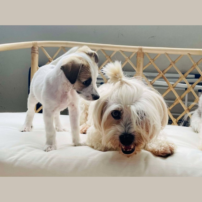 Photo of Marley Muddle