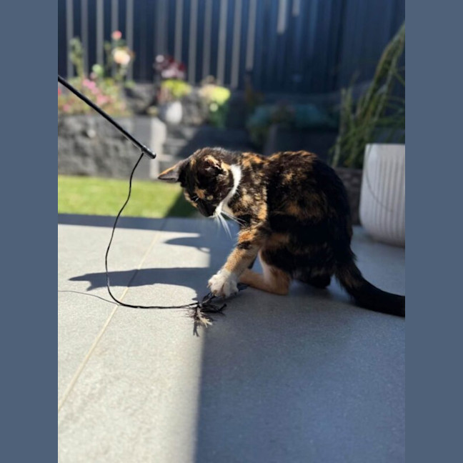 Photo of Holly