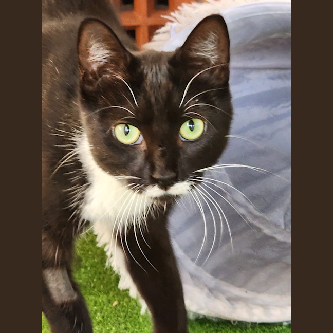 Photo of Maggie