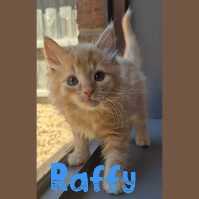 Photo of Raffy