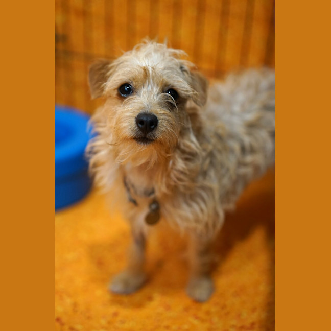 Photo of Polly