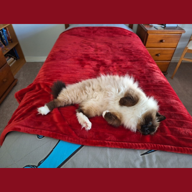 Photo of Princess Saffy