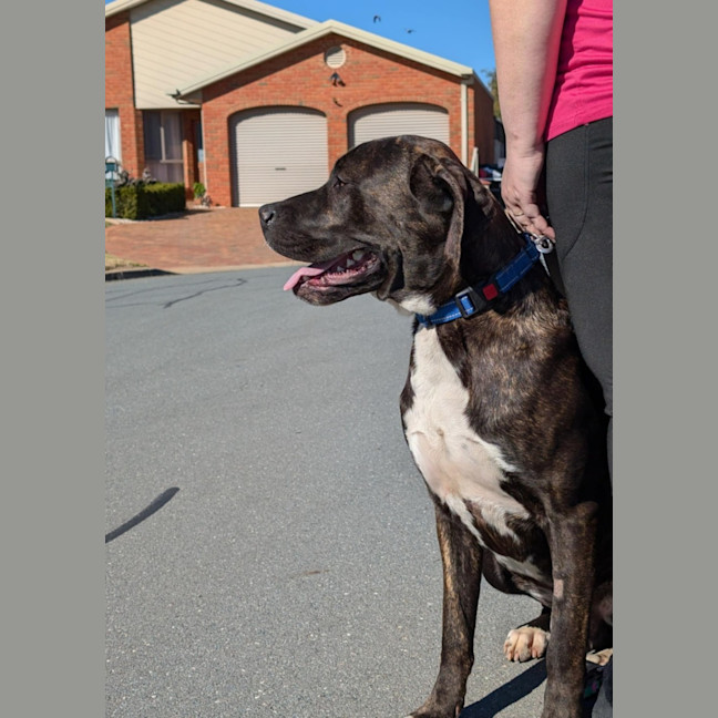 Photo of Stryker