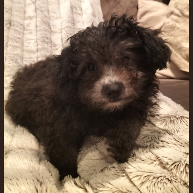 Photo of Michelangela