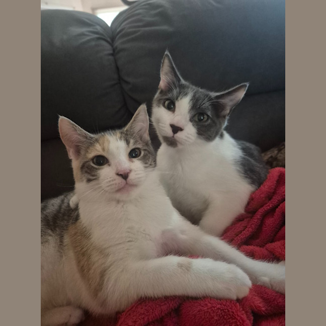 Photo of Cassidy / Cooper