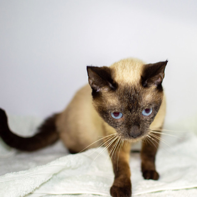 Photo of Liara