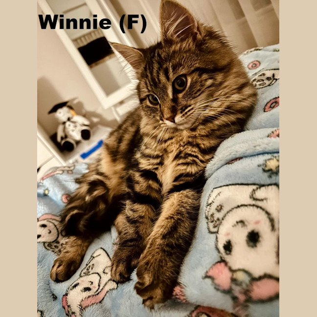 Photo of Winnie