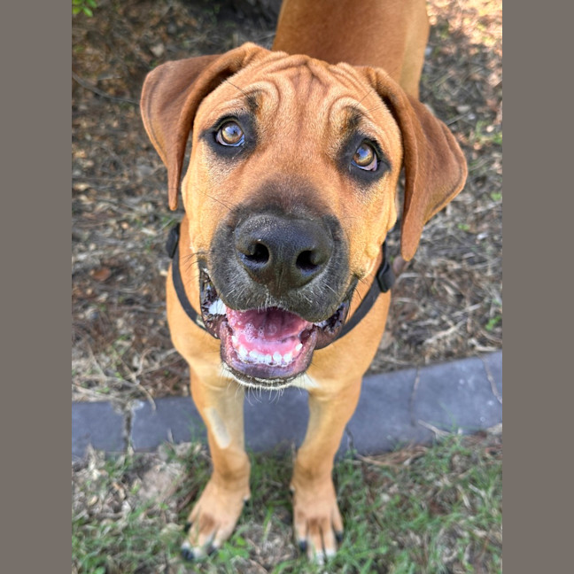 Photo of Tex