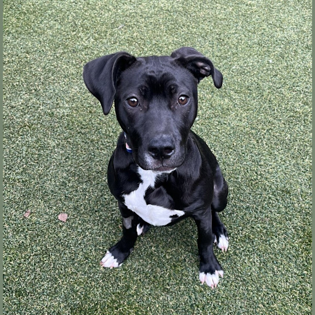 Photo of Tuna
