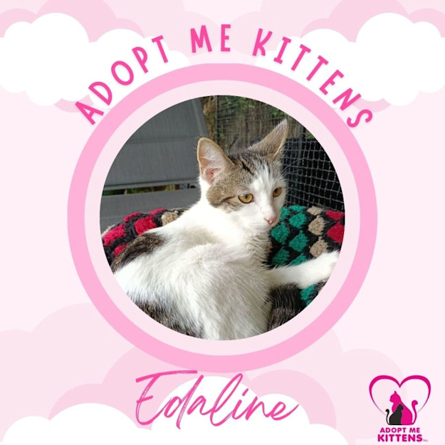 Photo of Edaline