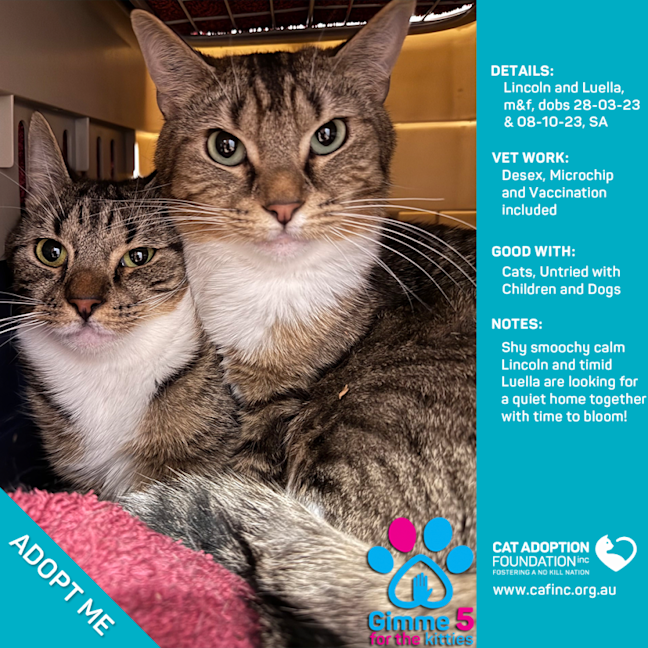 Photo of Luella And Lincoln