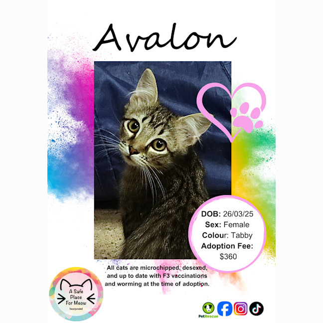 Photo of Avalon